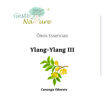 Óleo Essencial de Ylang-Ylang III