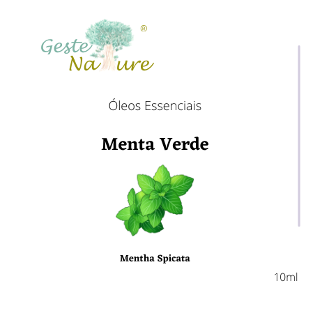 óleo essencial de meta verde