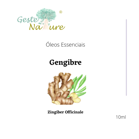 Óleo Essencial de Gengibre