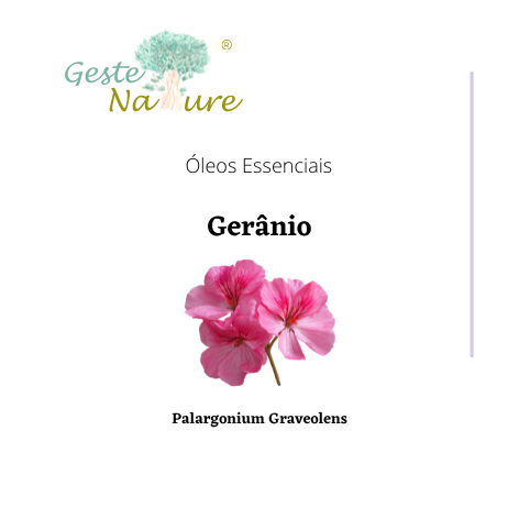 Óleo Essencial de Gerânio do Egipto